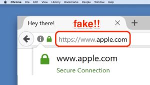 Website spoofing False website