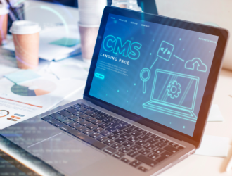 optimizacion cms